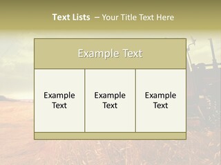 Spike Sun Hay PowerPoint Template