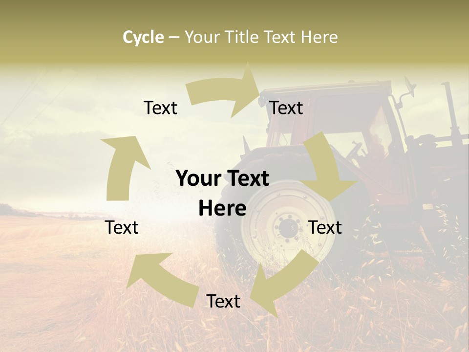Spike Sun Hay PowerPoint Template
