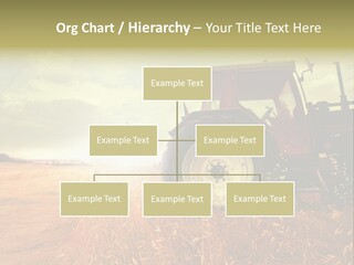 Spike Sun Hay PowerPoint Template