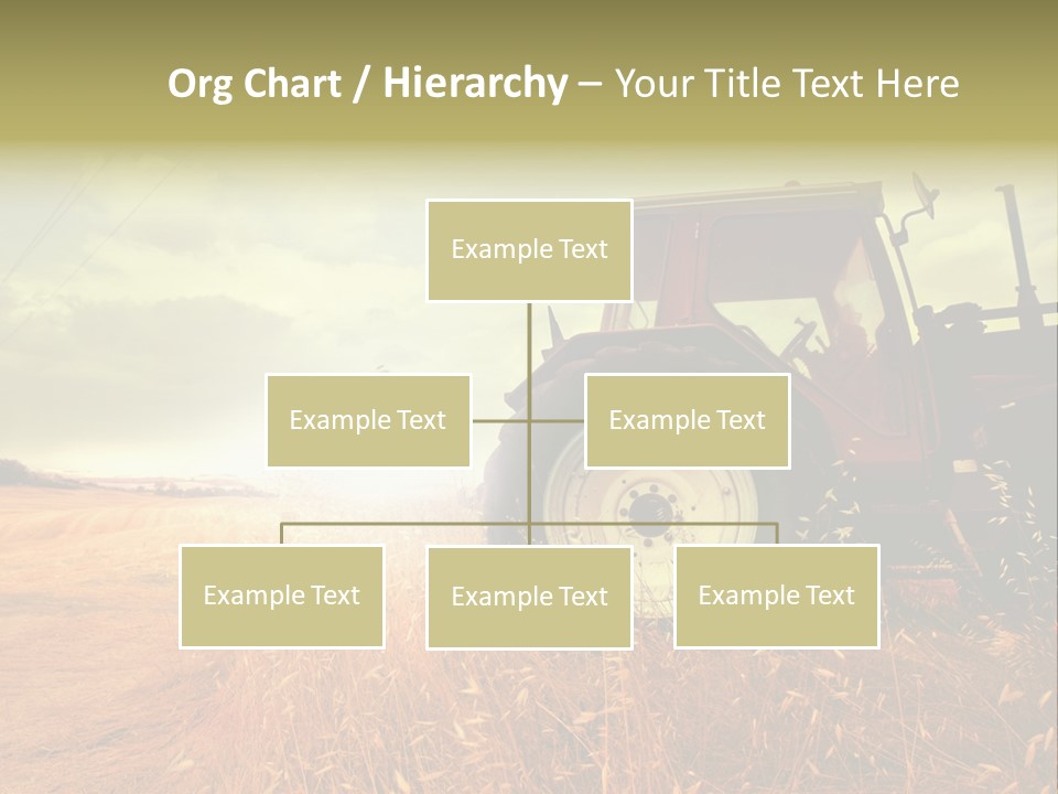 Spike Sun Hay PowerPoint Template