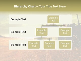 Spike Sun Hay PowerPoint Template