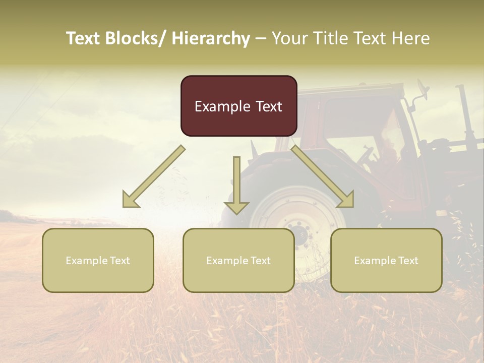 Spike Sun Hay PowerPoint Template