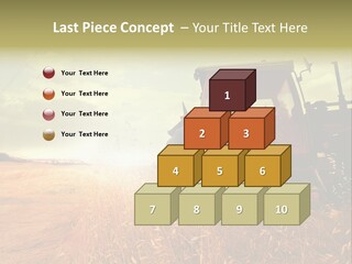 Spike Sun Hay PowerPoint Template