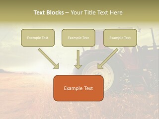 Spike Sun Hay PowerPoint Template