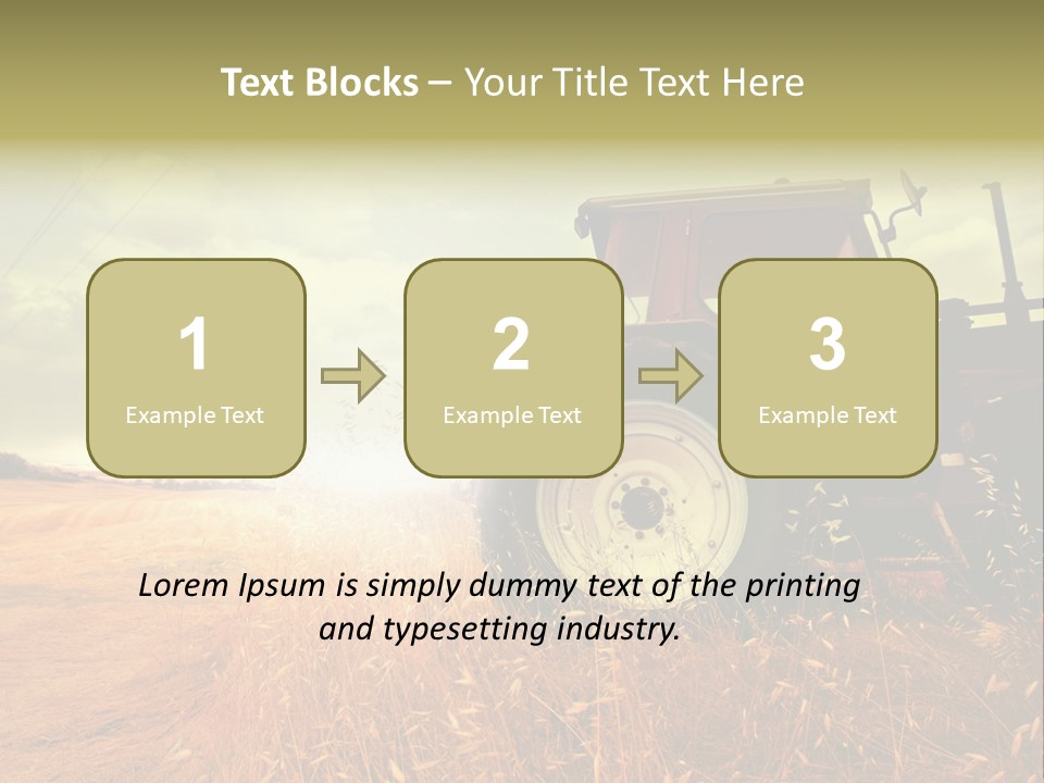 Spike Sun Hay PowerPoint Template