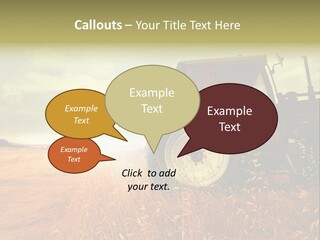 Spike Sun Hay PowerPoint Template