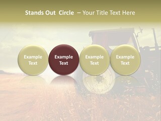 Spike Sun Hay PowerPoint Template