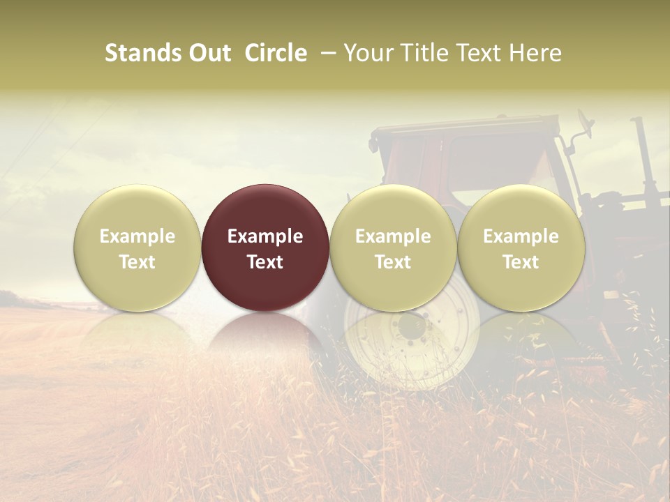 Spike Sun Hay PowerPoint Template