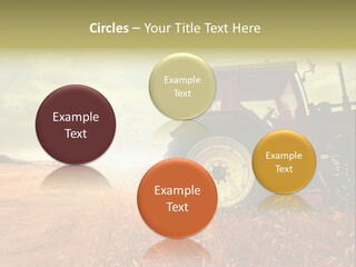 Spike Sun Hay PowerPoint Template