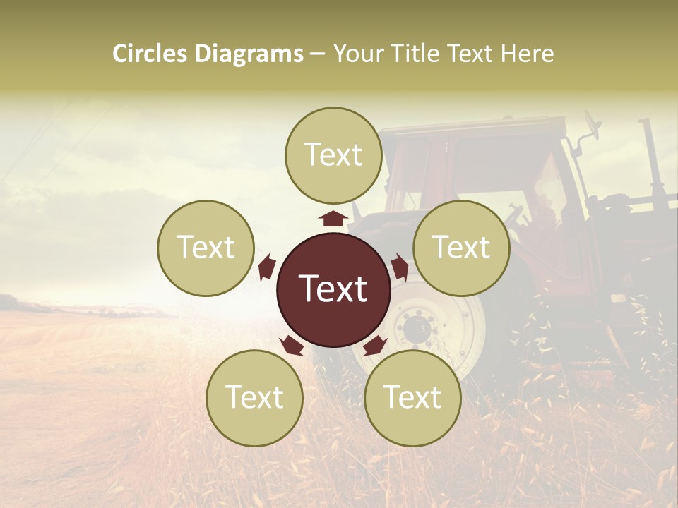 Spike Sun Hay PowerPoint Template