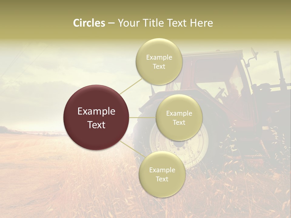 Spike Sun Hay PowerPoint Template