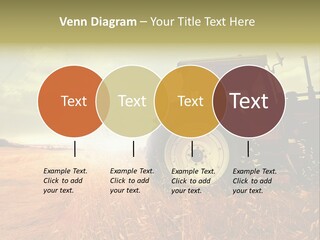 Spike Sun Hay PowerPoint Template
