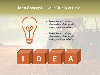 Spike Sun Hay PowerPoint Template
