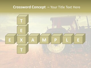 Spike Sun Hay PowerPoint Template