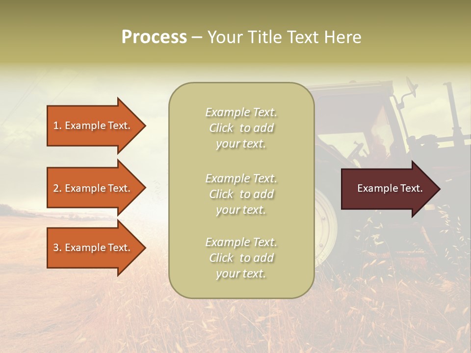 Spike Sun Hay PowerPoint Template