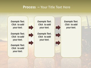 Spike Sun Hay PowerPoint Template