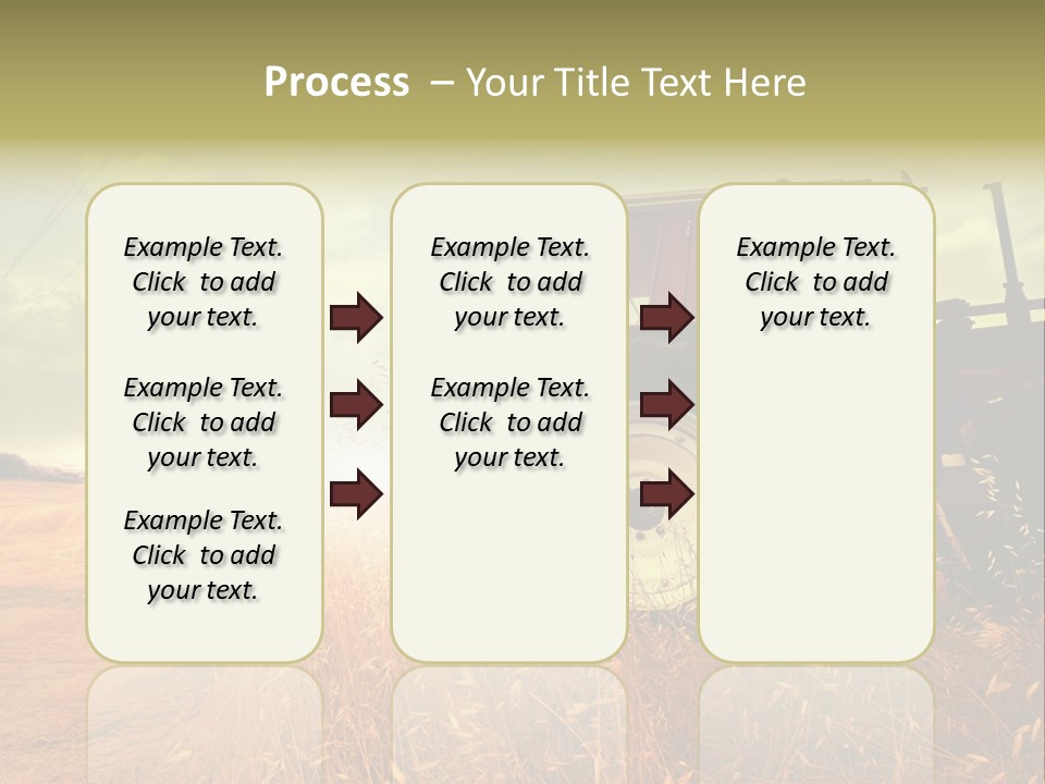Spike Sun Hay PowerPoint Template