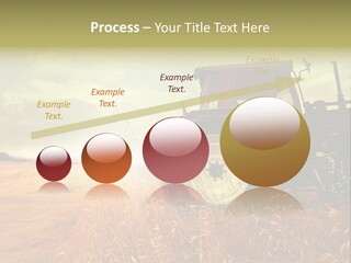 Spike Sun Hay PowerPoint Template