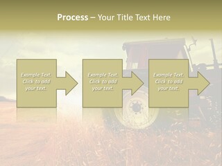 Spike Sun Hay PowerPoint Template