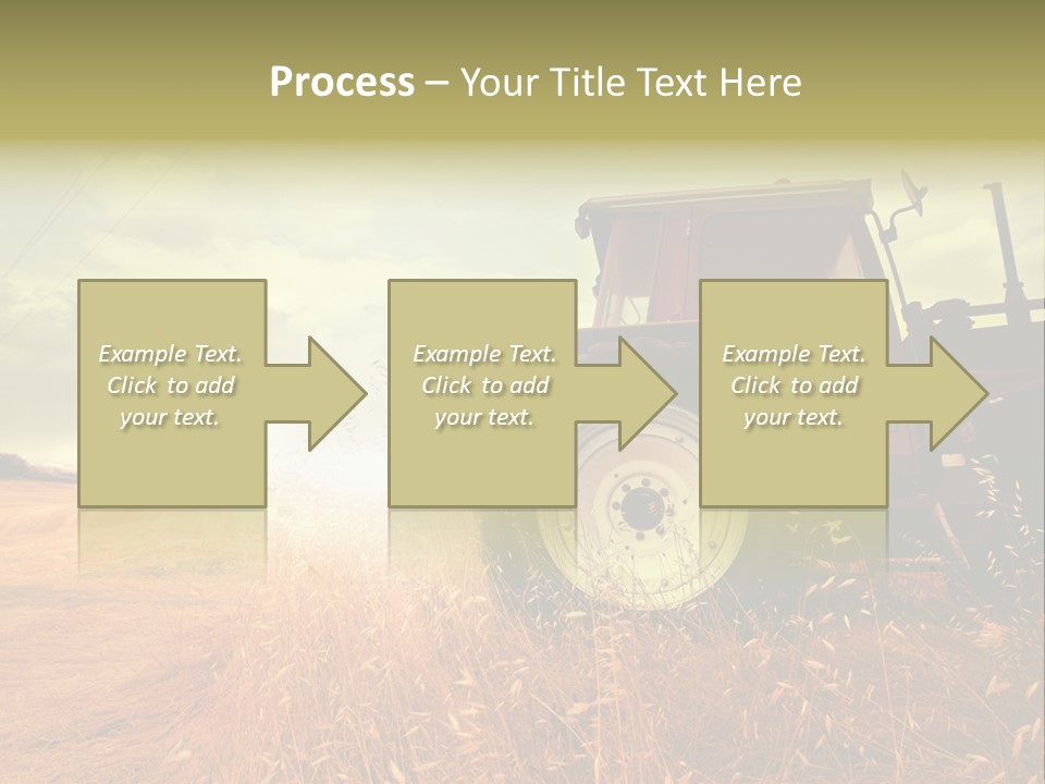 Spike Sun Hay PowerPoint Template