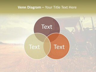 Spike Sun Hay PowerPoint Template