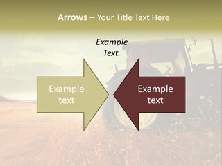 Spike Sun Hay PowerPoint Template