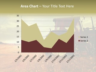 Spike Sun Hay PowerPoint Template