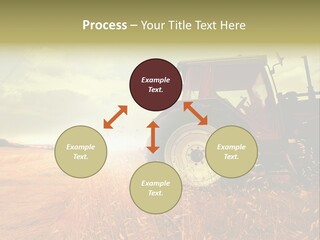 Spike Sun Hay PowerPoint Template