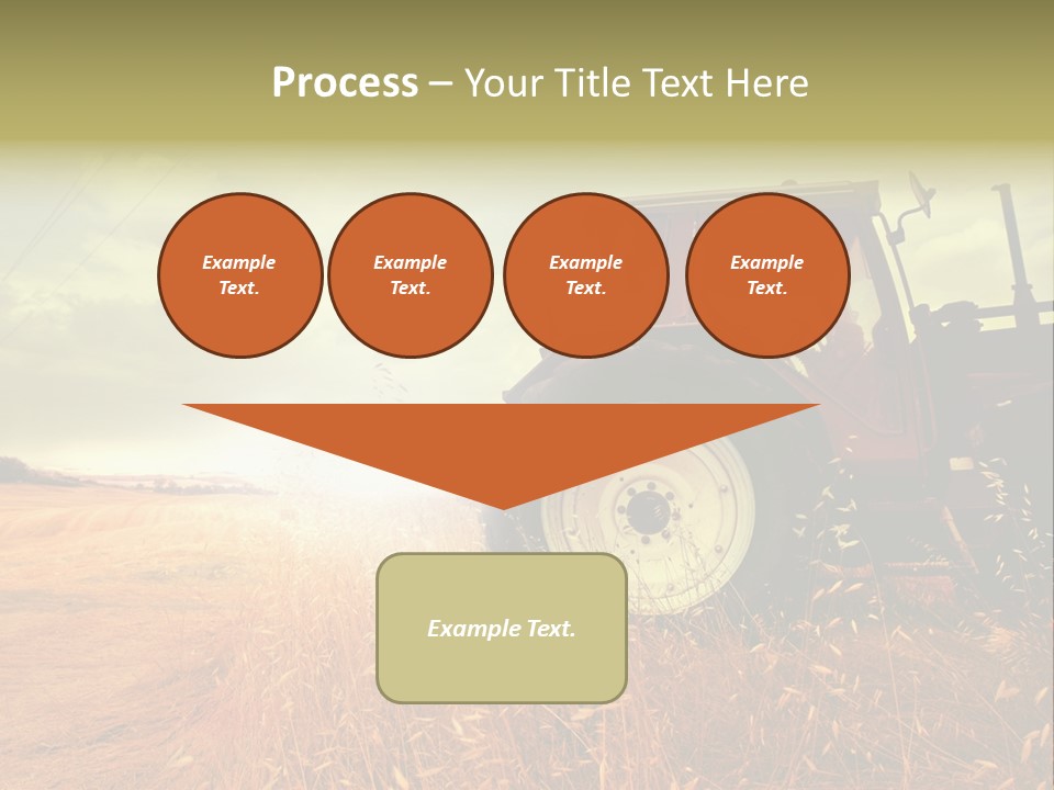 Spike Sun Hay PowerPoint Template