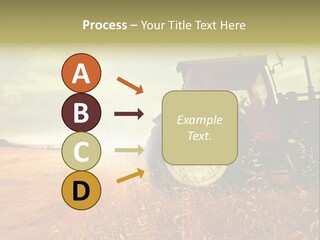 Spike Sun Hay PowerPoint Template