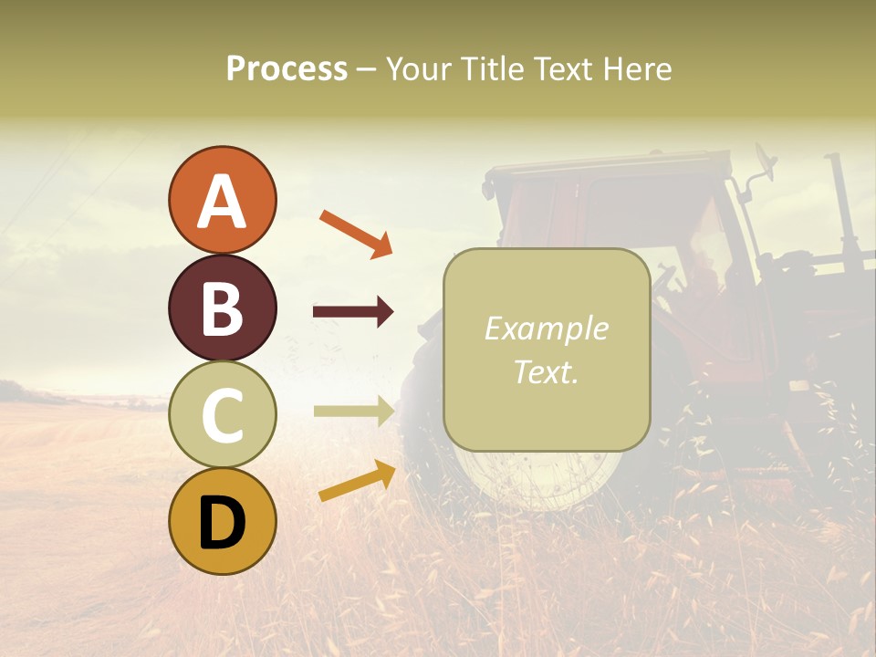Spike Sun Hay PowerPoint Template