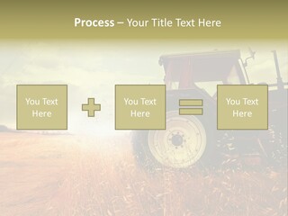 Spike Sun Hay PowerPoint Template
