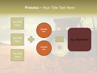 Spike Sun Hay PowerPoint Template