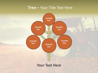 Spike Sun Hay PowerPoint Template