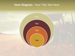 Spike Sun Hay PowerPoint Template