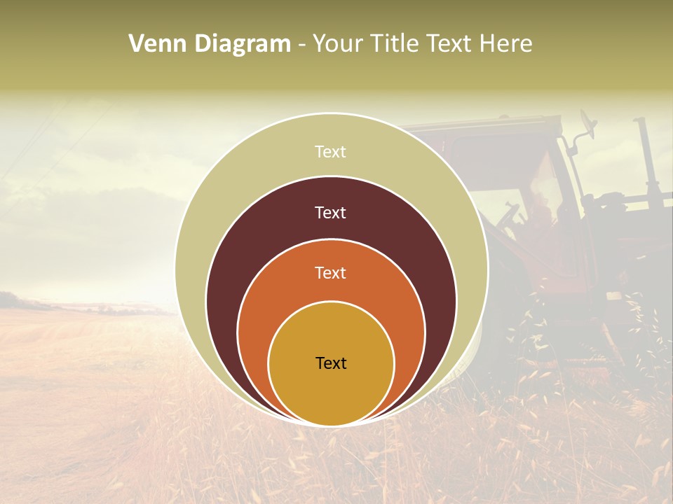 Spike Sun Hay PowerPoint Template