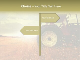 Spike Sun Hay PowerPoint Template