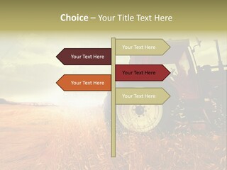 Spike Sun Hay PowerPoint Template