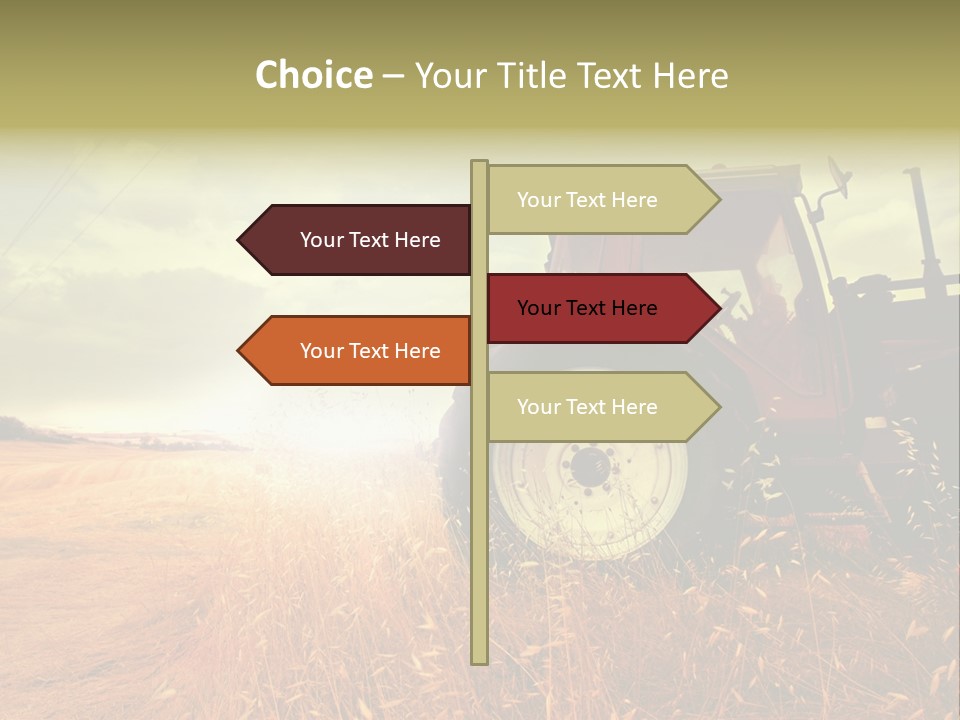 Spike Sun Hay PowerPoint Template