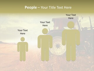 Spike Sun Hay PowerPoint Template