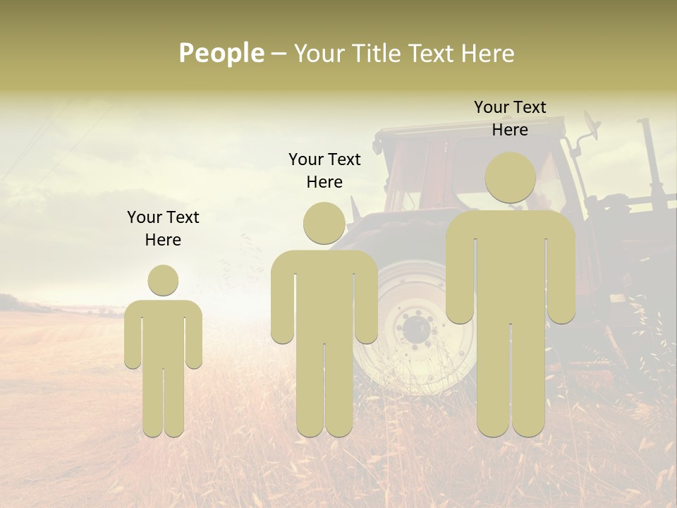 Spike Sun Hay PowerPoint Template