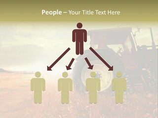 Spike Sun Hay PowerPoint Template