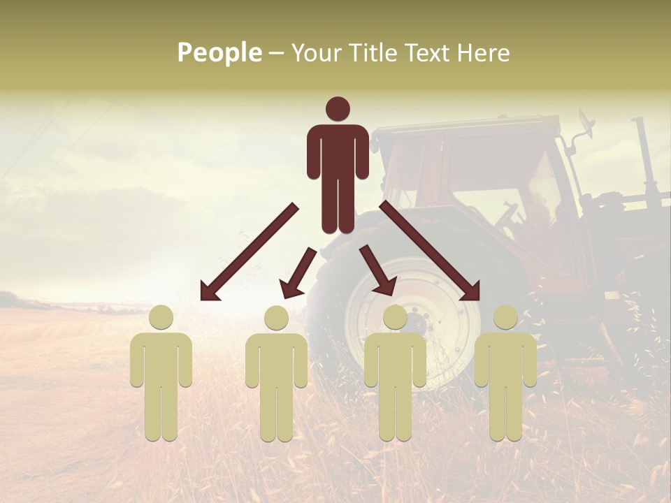 Spike Sun Hay PowerPoint Template