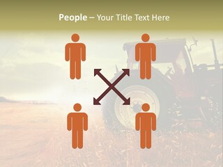 Spike Sun Hay PowerPoint Template