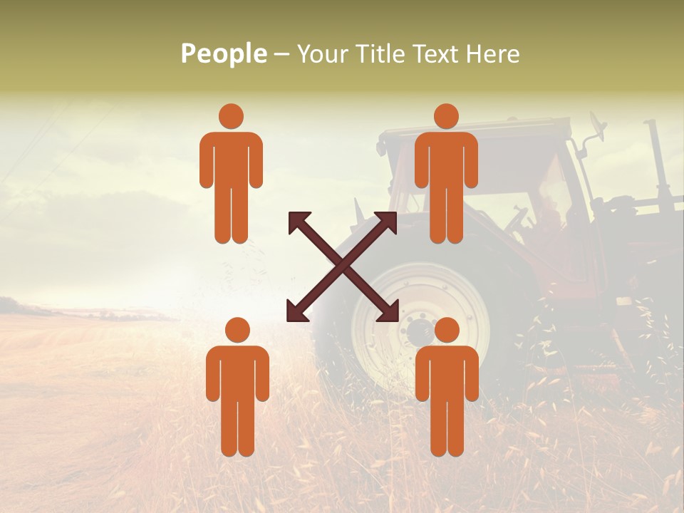 Spike Sun Hay PowerPoint Template