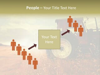 Spike Sun Hay PowerPoint Template