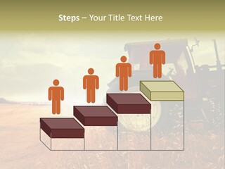 Spike Sun Hay PowerPoint Template