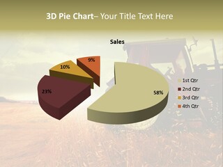 Spike Sun Hay PowerPoint Template