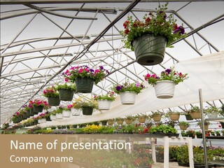 Bedding Cultivation Building PowerPoint Template