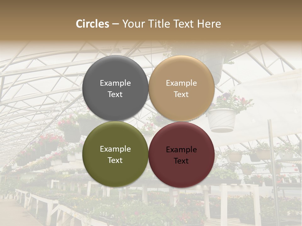 Bedding Cultivation Building PowerPoint Template